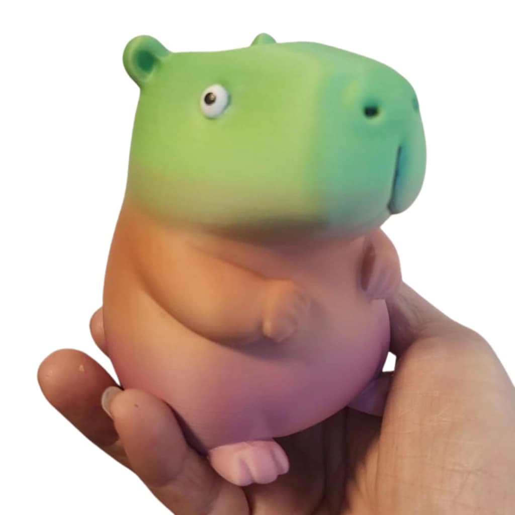 Portalapices Birmoes de Capibara - Organización con Estilo y Diversión